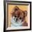 Colorful Pomeranian-Carolee Vitaletti-Framed Art Print