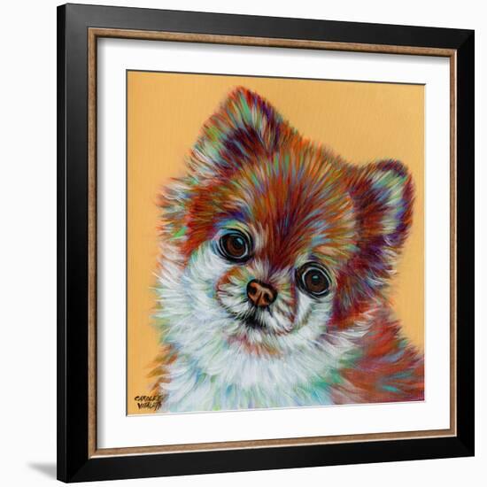 Colorful Pomeranian-Carolee Vitaletti-Framed Art Print