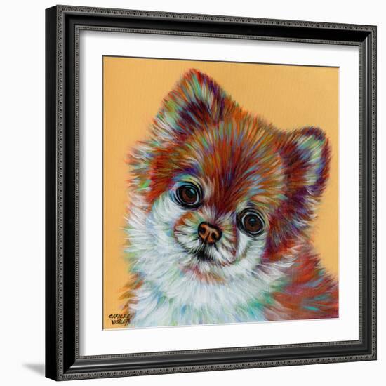 Colorful Pomeranian-Carolee Vitaletti-Framed Art Print
