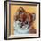 Colorful Pomeranian-Carolee Vitaletti-Framed Art Print