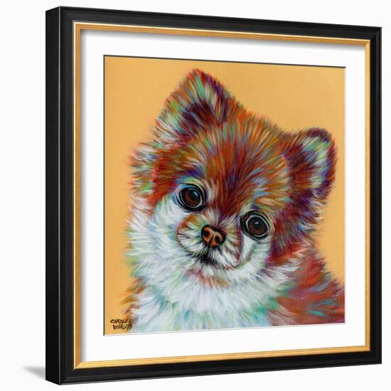 Colorful Pomeranian-Carolee Vitaletti-Framed Art Print