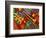 Colorful Poster Along the Riverwalk, New Orleans, Louisiana, USA-Adam Jones-Framed Photographic Print