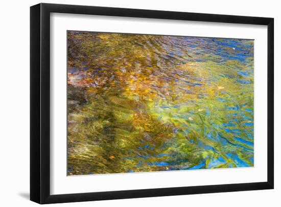 Colorful Reflections I-Kathy Mahan-Framed Photographic Print