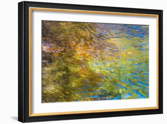 Colorful Reflections I-Kathy Mahan-Framed Photographic Print