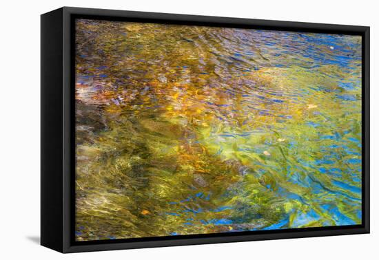 Colorful Reflections I-Kathy Mahan-Framed Premier Image Canvas