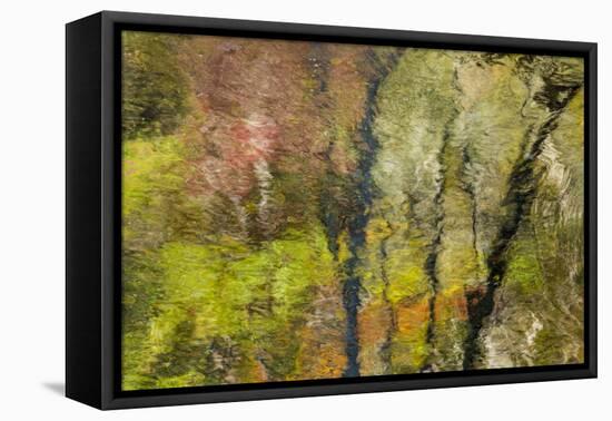 Colorful Reflections II-Kathy Mahan-Framed Premier Image Canvas