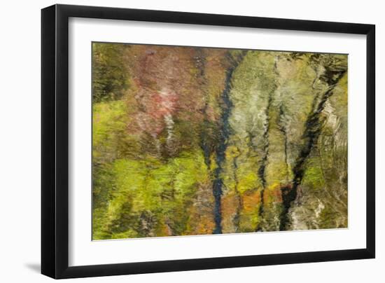 Colorful Reflections II-Kathy Mahan-Framed Photographic Print