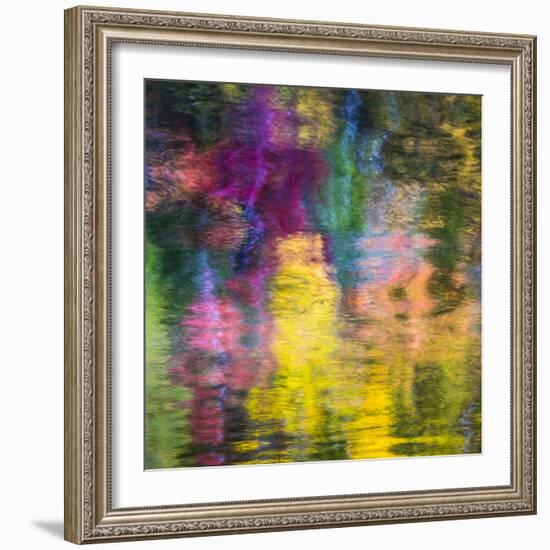 Colorful Reflections III-Kathy Mahan-Framed Photographic Print