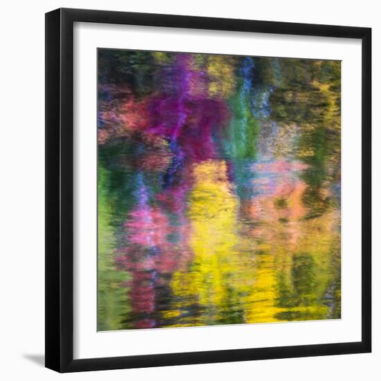 Colorful Reflections III-Kathy Mahan-Framed Photographic Print