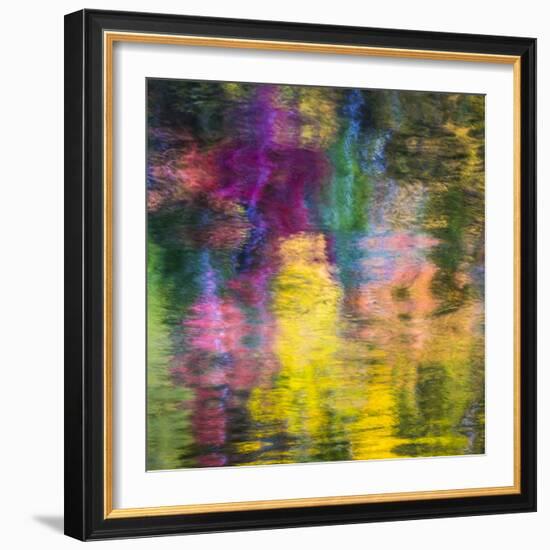 Colorful Reflections III-Kathy Mahan-Framed Photographic Print