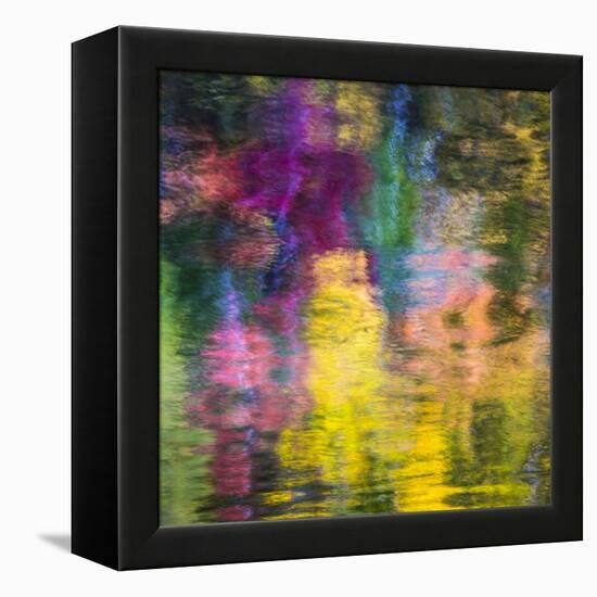 Colorful Reflections III-Kathy Mahan-Framed Premier Image Canvas