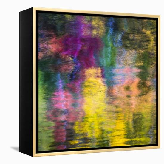 Colorful Reflections III-Kathy Mahan-Framed Premier Image Canvas