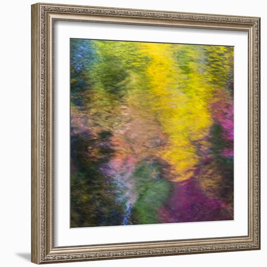 Colorful Reflections IV-Kathy Mahan-Framed Photographic Print