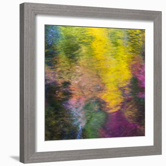 Colorful Reflections IV-Kathy Mahan-Framed Photographic Print