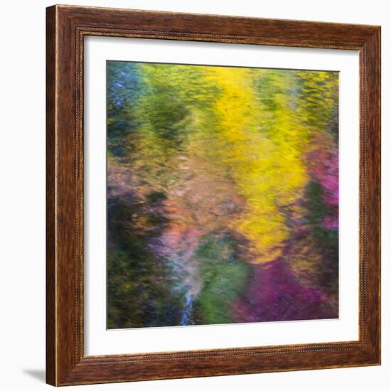 Colorful Reflections IV-Kathy Mahan-Framed Photographic Print