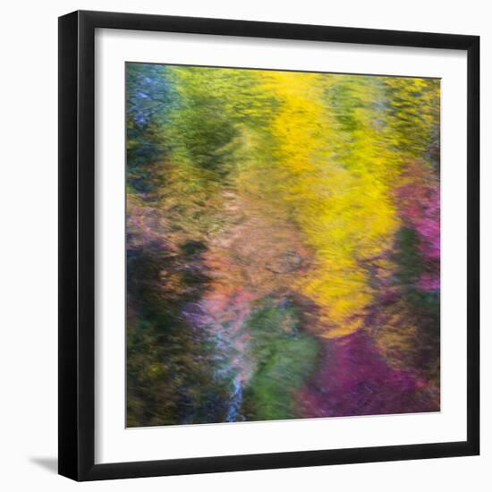 Colorful Reflections IV-Kathy Mahan-Framed Photographic Print