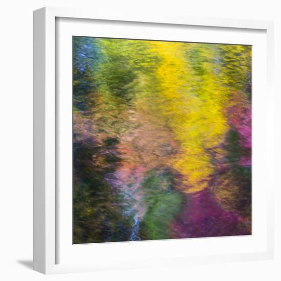 Colorful Reflections IV-Kathy Mahan-Framed Photographic Print