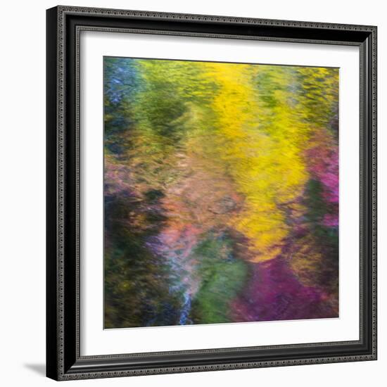 Colorful Reflections IV-Kathy Mahan-Framed Photographic Print