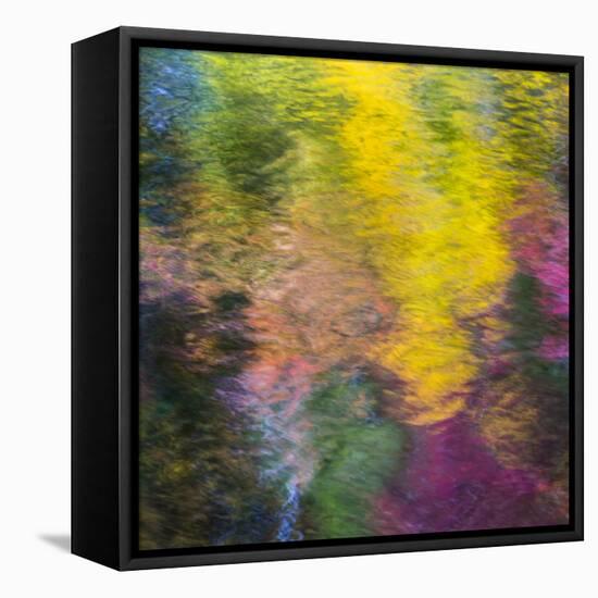 Colorful Reflections IV-Kathy Mahan-Framed Premier Image Canvas