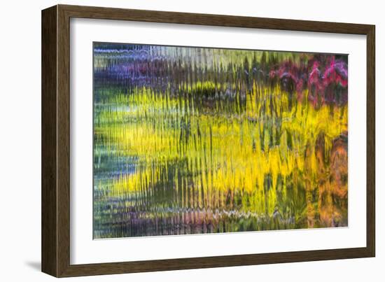 Colorful Reflections VI-Kathy Mahan-Framed Photographic Print