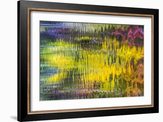 Colorful Reflections VI-Kathy Mahan-Framed Photographic Print