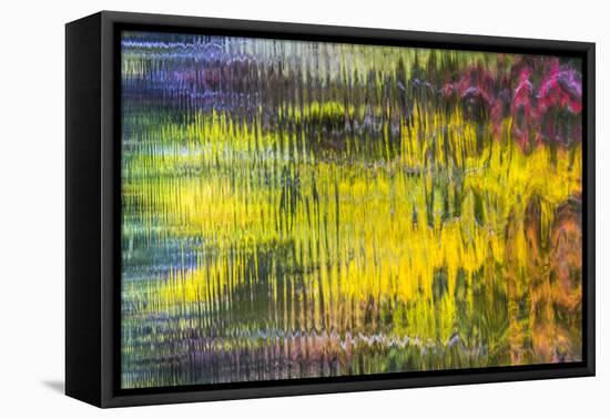 Colorful Reflections VI-Kathy Mahan-Framed Premier Image Canvas