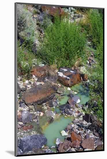 Colorful rocks, chalky blue-green pool, Blue Basin, Blue Basin Area, Oregon, USA-Michel Hersen-Mounted Photographic Print