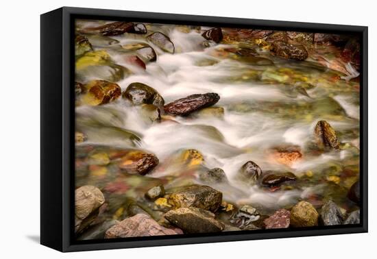 Colorful Rocks in a Rushing Mountain Stream. Glacier NP, Montana-Rona Schwarz-Framed Premier Image Canvas