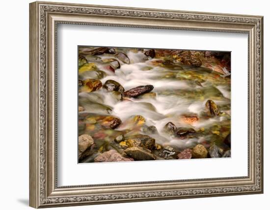 Colorful Rocks in a Rushing Mountain Stream. Glacier NP, Montana-Rona Schwarz-Framed Photographic Print