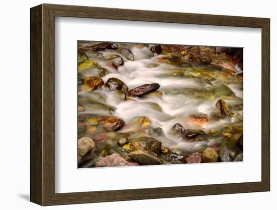 Colorful Rocks in a Rushing Mountain Stream. Glacier NP, Montana-Rona Schwarz-Framed Photographic Print