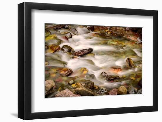 Colorful Rocks in a Rushing Mountain Stream. Glacier NP, Montana-Rona Schwarz-Framed Photographic Print