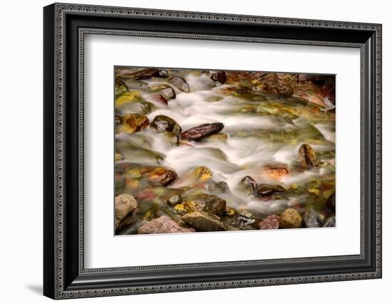 Colorful Rocks in a Rushing Mountain Stream. Glacier NP, Montana-Rona Schwarz-Framed Photographic Print