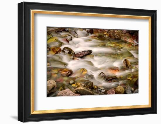 Colorful Rocks in a Rushing Mountain Stream. Glacier NP, Montana-Rona Schwarz-Framed Photographic Print