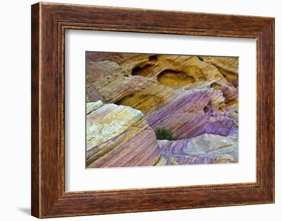 Colorful rocks, Rainbow Vista, Valley of Fire State Park, Overton, Nevada, USA-Michel Hersen-Framed Photographic Print