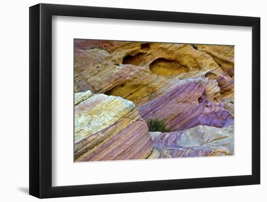 Colorful rocks, Rainbow Vista, Valley of Fire State Park, Overton, Nevada, USA-Michel Hersen-Framed Photographic Print