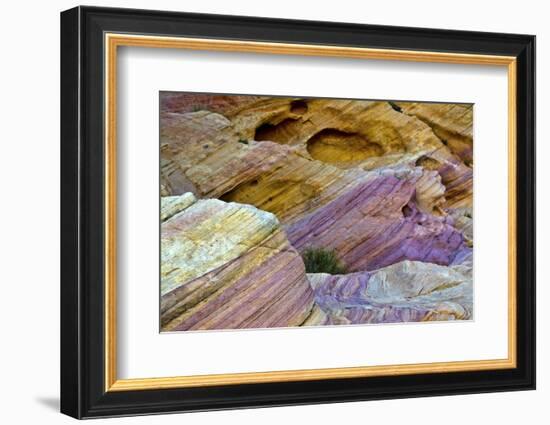 Colorful rocks, Rainbow Vista, Valley of Fire State Park, Overton, Nevada, USA-Michel Hersen-Framed Photographic Print