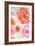 Colorful Roses I-Elizabeth Medley-Framed Art Print