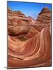 Colorful Sandstone Swirls in the Wave Formation, Paria Canyon, Utah, Usa-Dennis Flaherty-Mounted Photographic Print