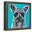 Colorful Schnauzer-Carolee Vitaletti-Framed Stretched Canvas