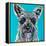 Colorful Schnauzer-Carolee Vitaletti-Framed Stretched Canvas