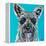 Colorful Schnauzer-Carolee Vitaletti-Framed Stretched Canvas