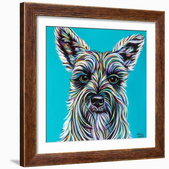 Colorful Schnauzer-Carolee Vitaletti-Framed Art Print