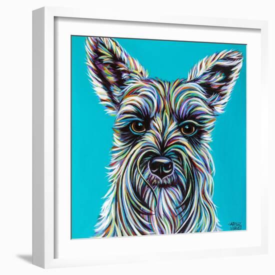 Colorful Schnauzer-Carolee Vitaletti-Framed Art Print