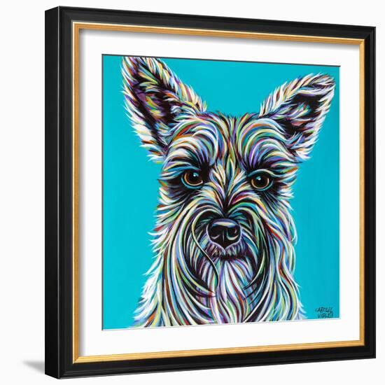 Colorful Schnauzer-Carolee Vitaletti-Framed Art Print