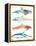 Colorful Sea Life-Milli Villa-Framed Stretched Canvas