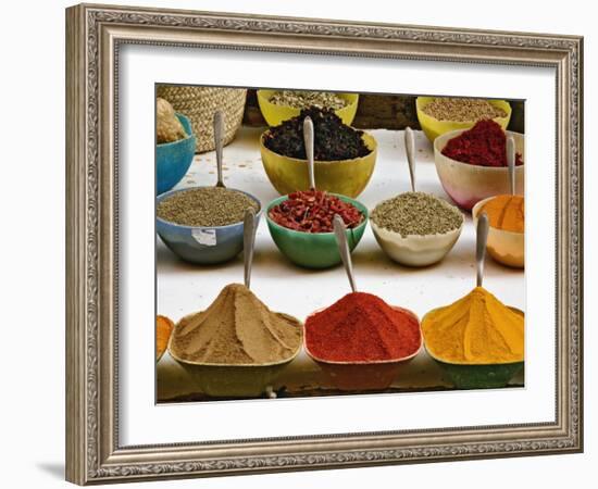 Colorful Spices at Bazaar, Luxor, Egypt-Adam Jones-Framed Photographic Print