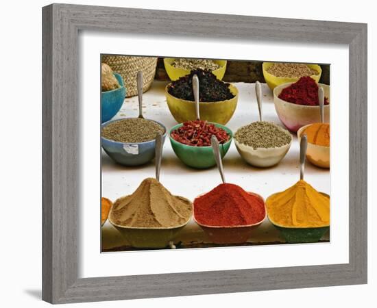 Colorful Spices at Bazaar, Luxor, Egypt-Adam Jones-Framed Photographic Print