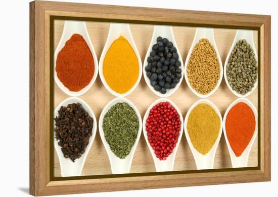 Colorful Spices-Fotokris-Framed Stretched Canvas