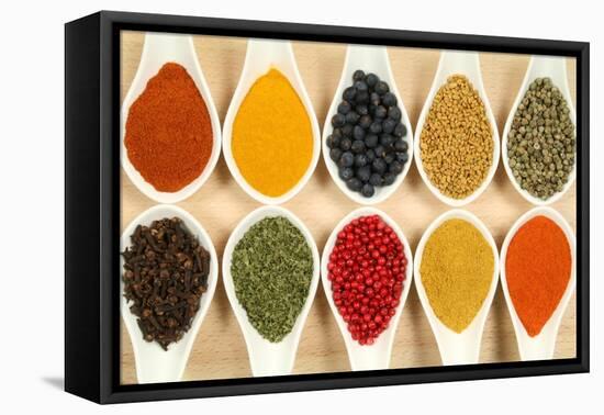 Colorful Spices-Fotokris-Framed Stretched Canvas