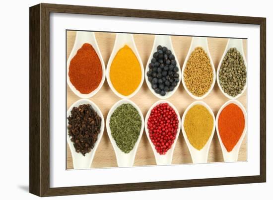 Colorful Spices-Fotokris-Framed Art Print